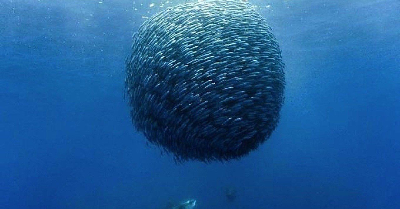 タイラバ イカナゴパターン必勝法 Dsk Note