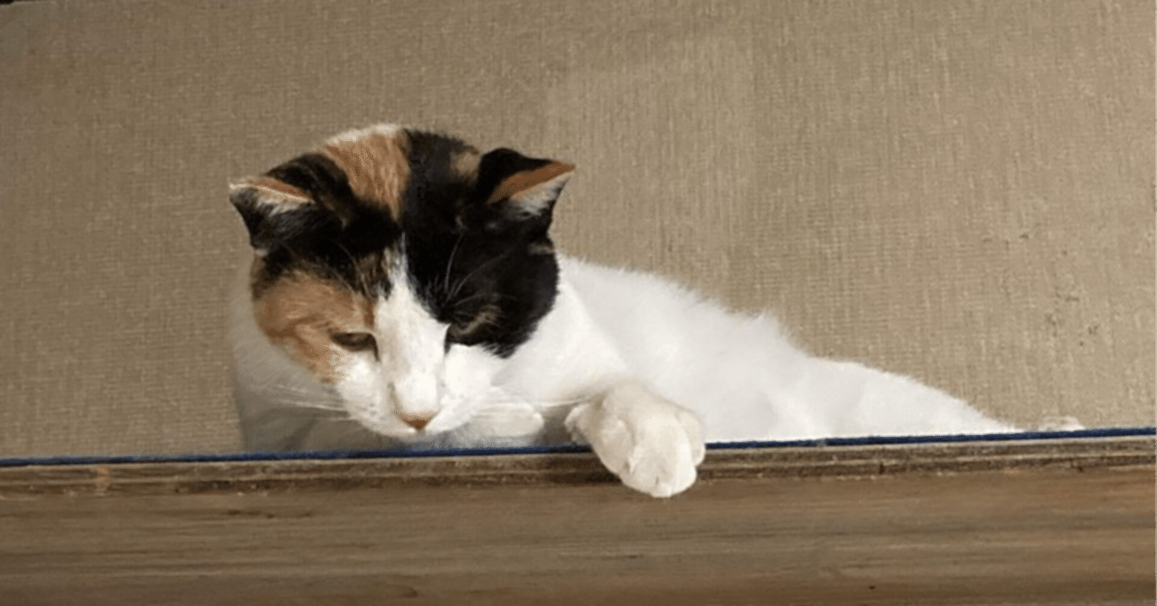 任天堂ミュージアム初のビデオツアー