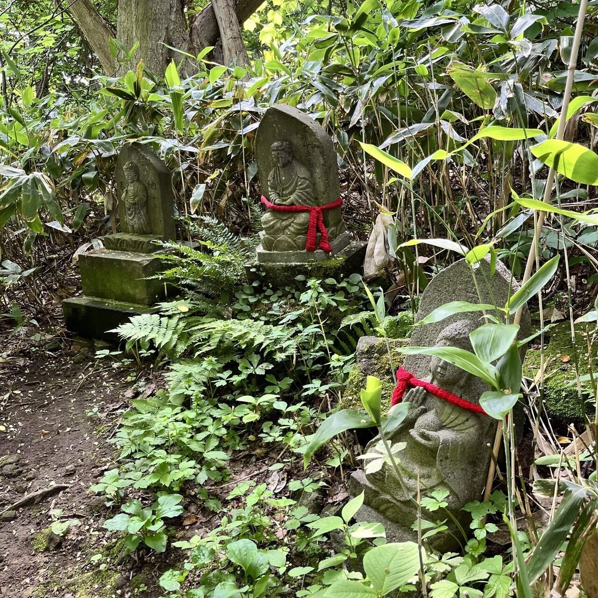 はじめての山登り|照る緒