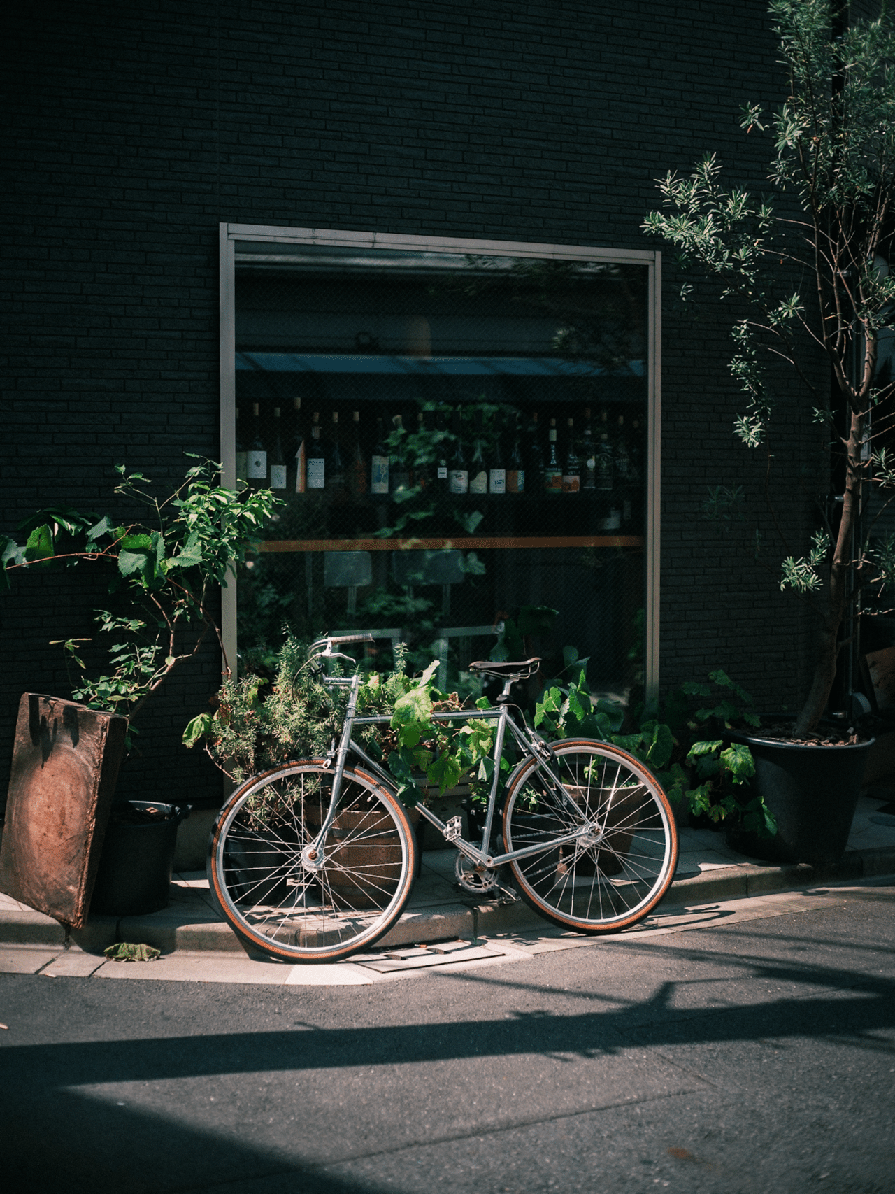 Canon fd 50mm f/1.8 fd単焦点レンズ 作例あり オールドレンズ】レビュー：CANON FD 50mm F1.8 手軽に安価な