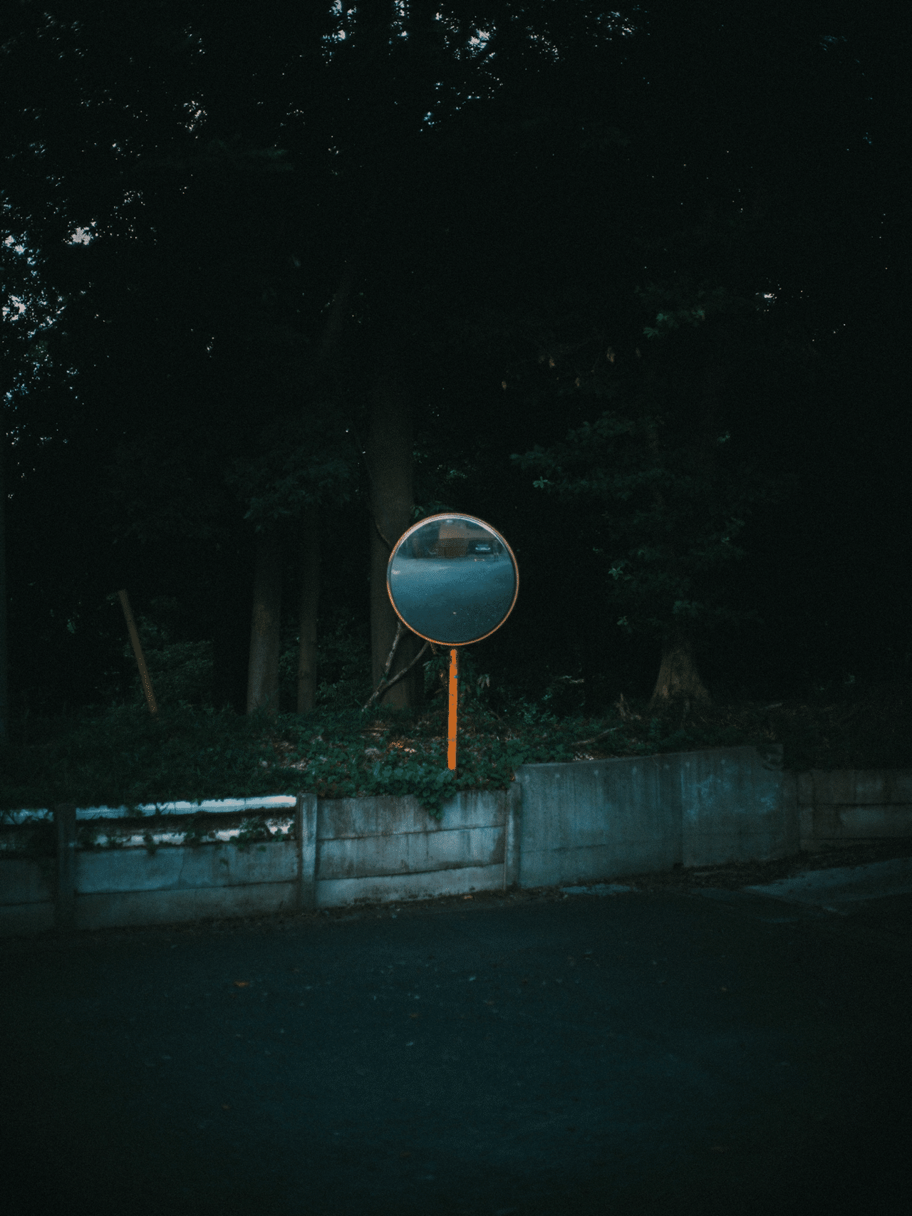 オールドレンズ作例】Canon FD50mm F1.8 S.C. (I)｜好 | Kodai