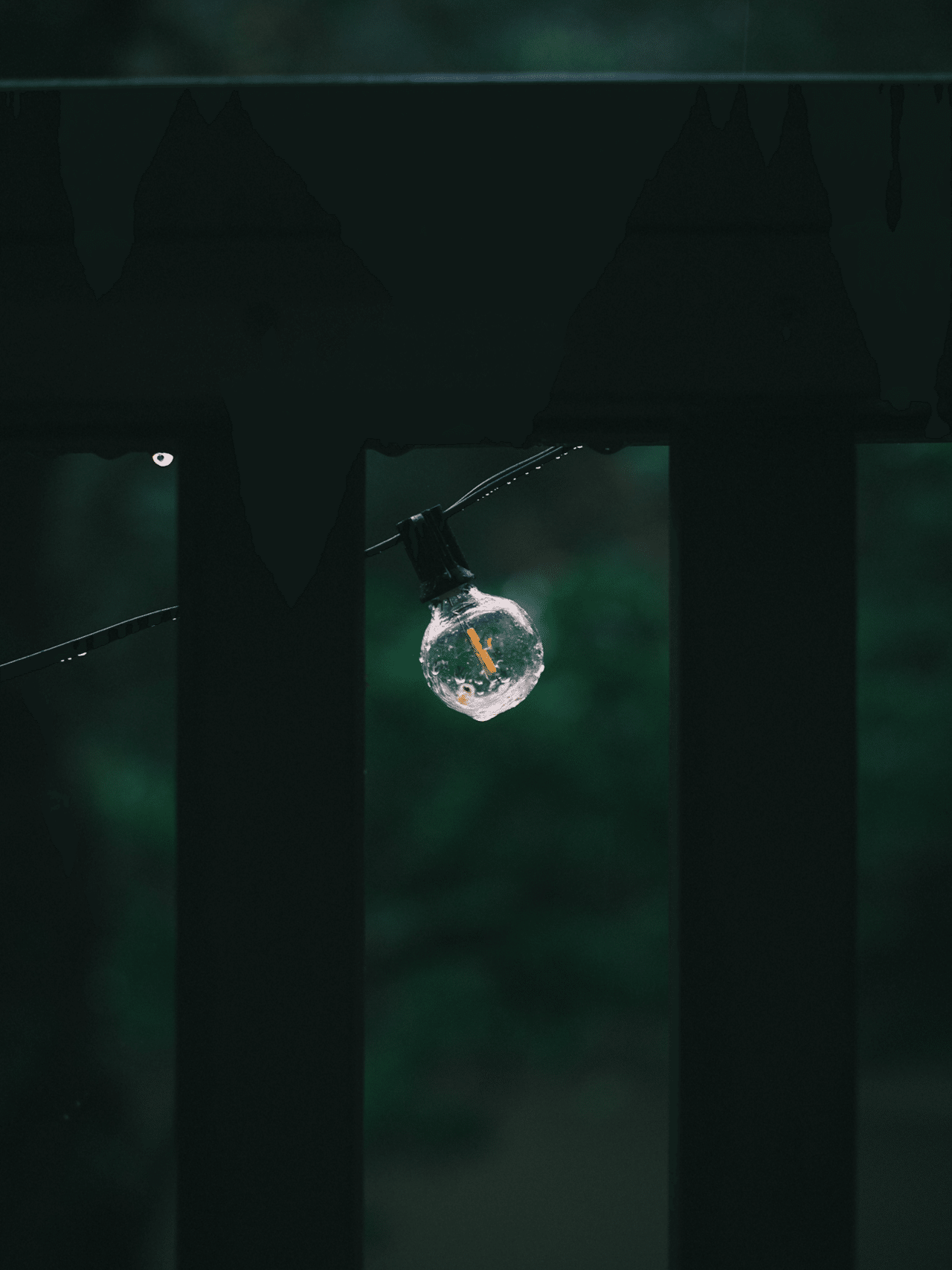 作例ありcanon AE-1 fd50mm f1.8レンズセット フィルムカメラ Canon AE-1 PROGRAM ブラック / NEW FD 50mm F1.8