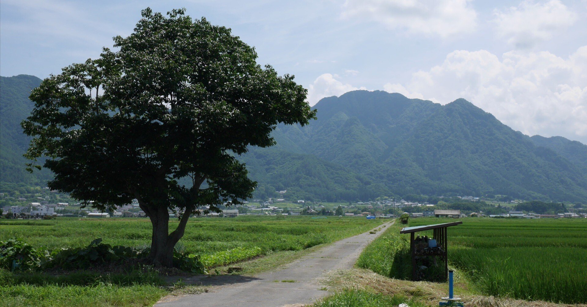 5051b6eb0cae39938ba0faa7be5344