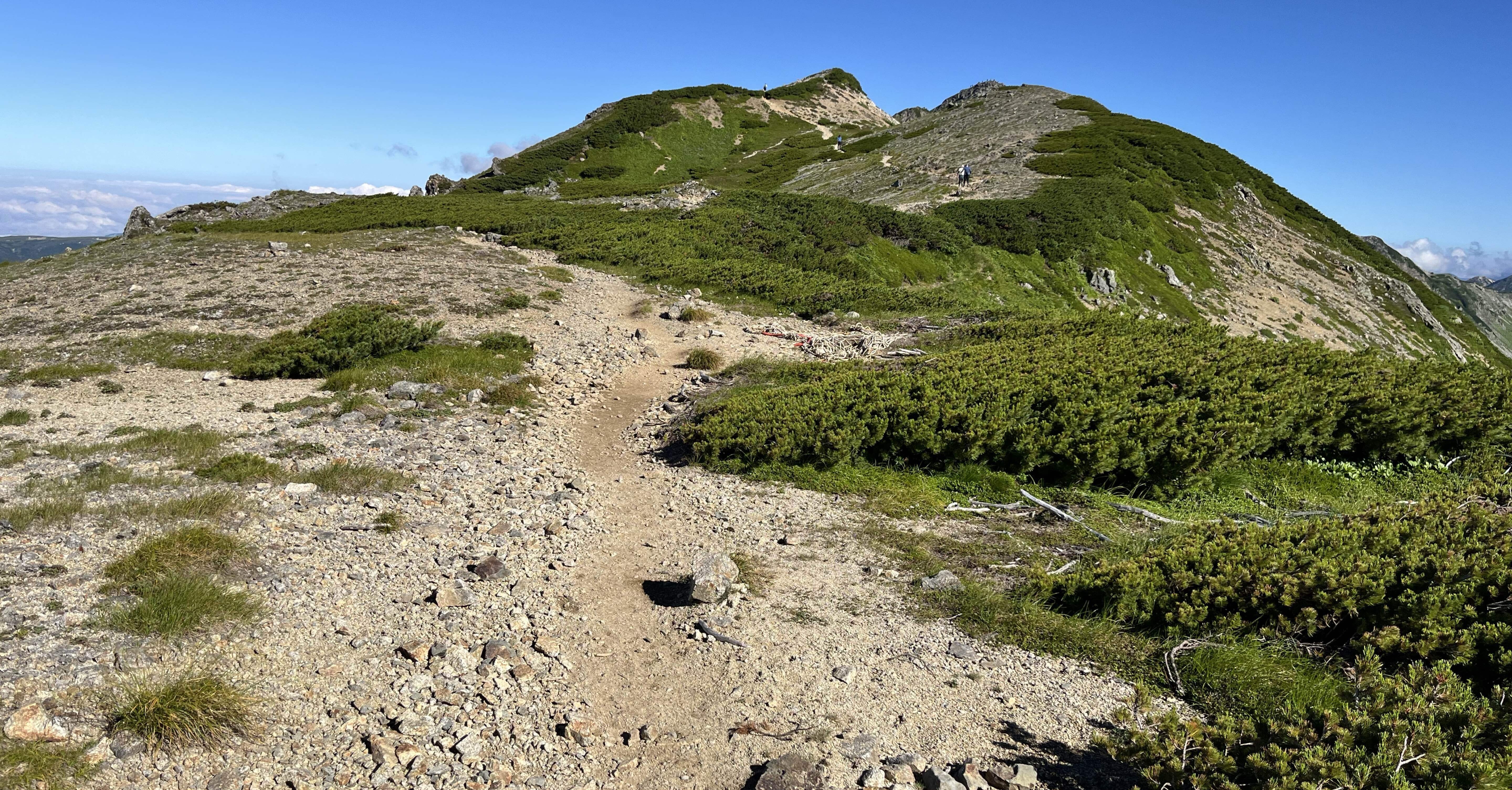 f2ded0adac66f183fcaea62a79318a