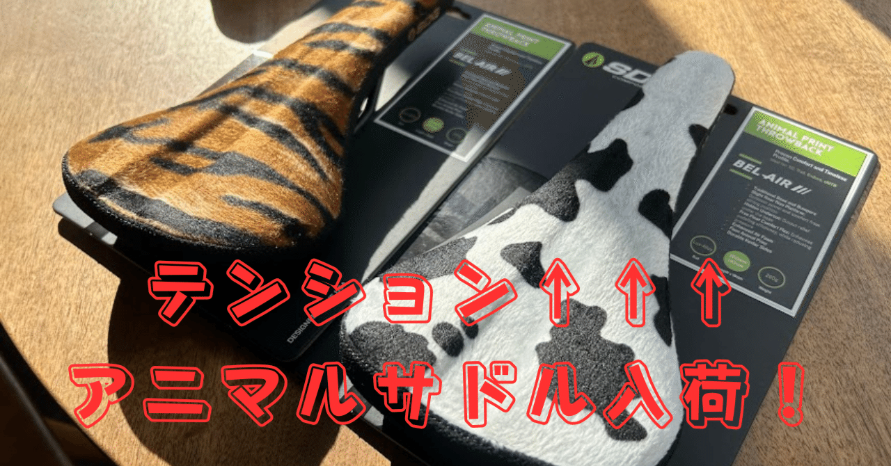 テンションをブチ上げるSDGアニマルサドル入荷 ＆ 9/1遠征ライド