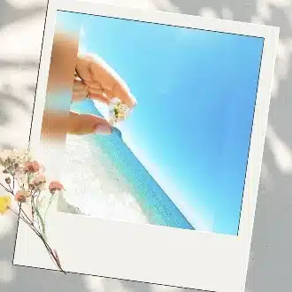 asu