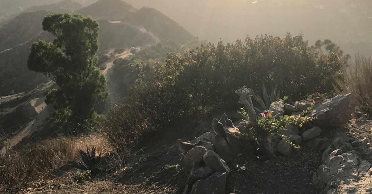 好きの度合い の新着タグ記事一覧 Note つくる つながる とどける