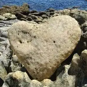 大樹