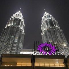 平沢進「景観する循環カフェ」｜kermit_nawoko