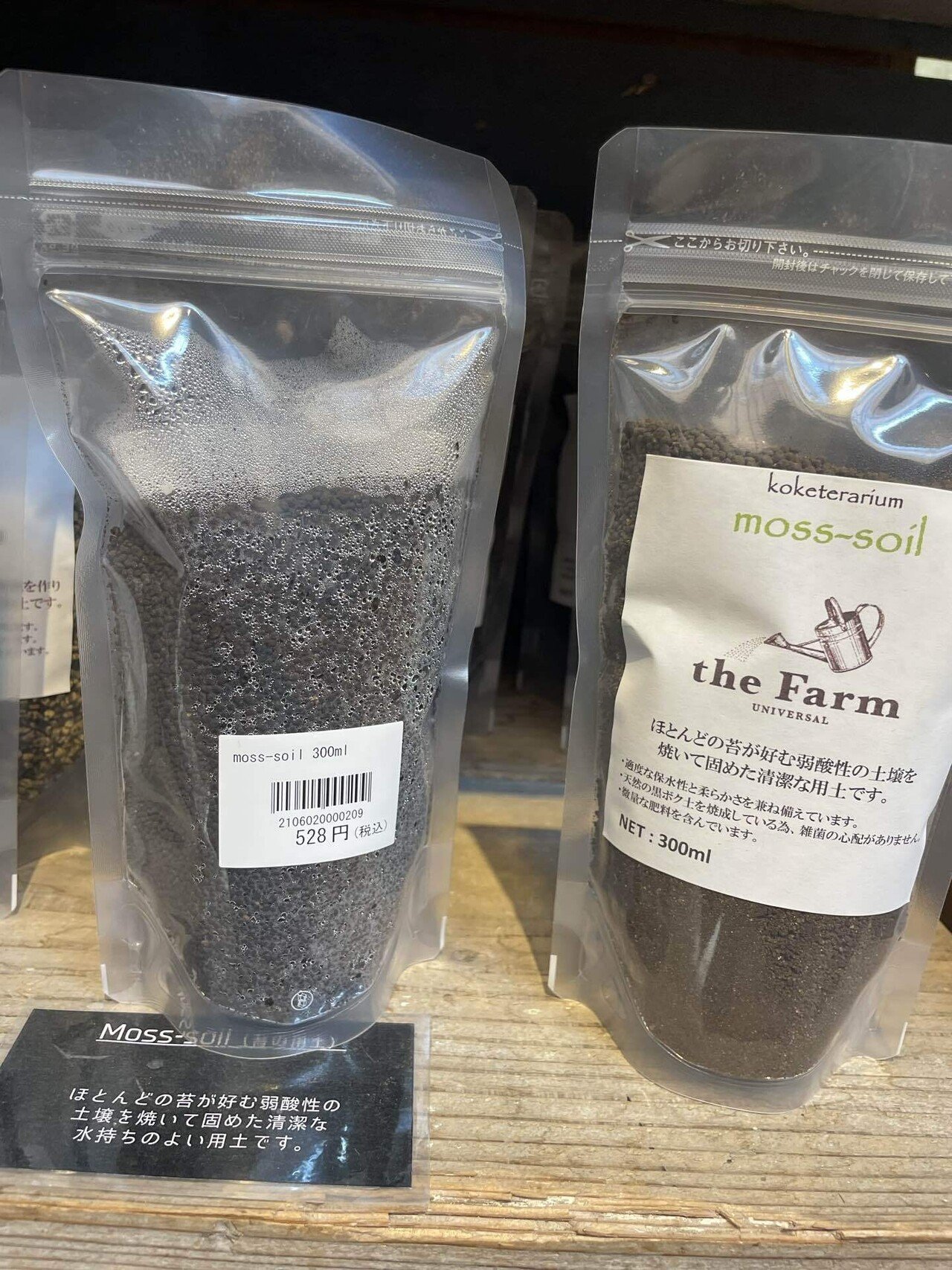 クワガタ　テラリウム 楽天市場】テラリウム クワガタの通販