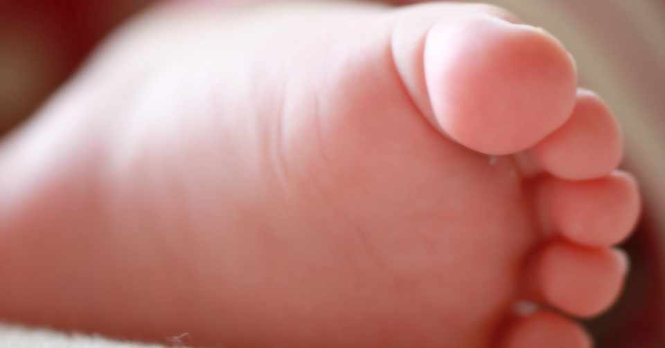 恋と結婚と子宮に纏わるあれこれ 春 Note