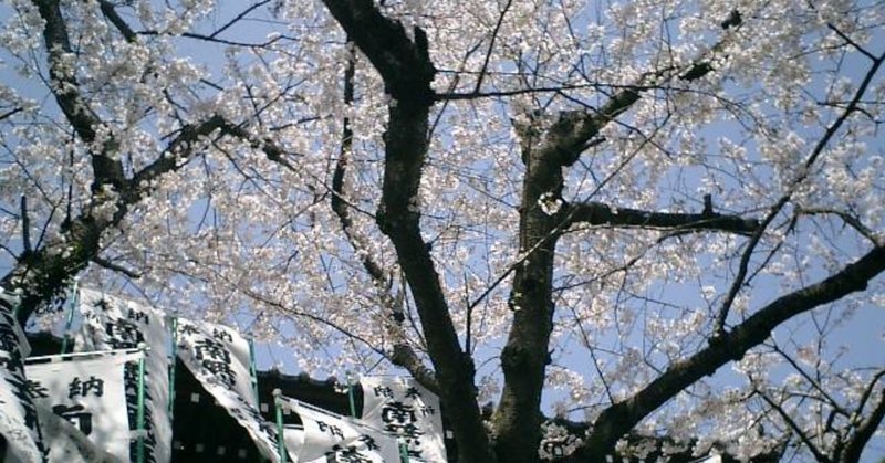 08.04.03 ＃鎌倉 、 ＃極楽寺坂 から見上げた「 ＃星井寺 （ ＃虚空蔵堂 ）」の ＃桜 。