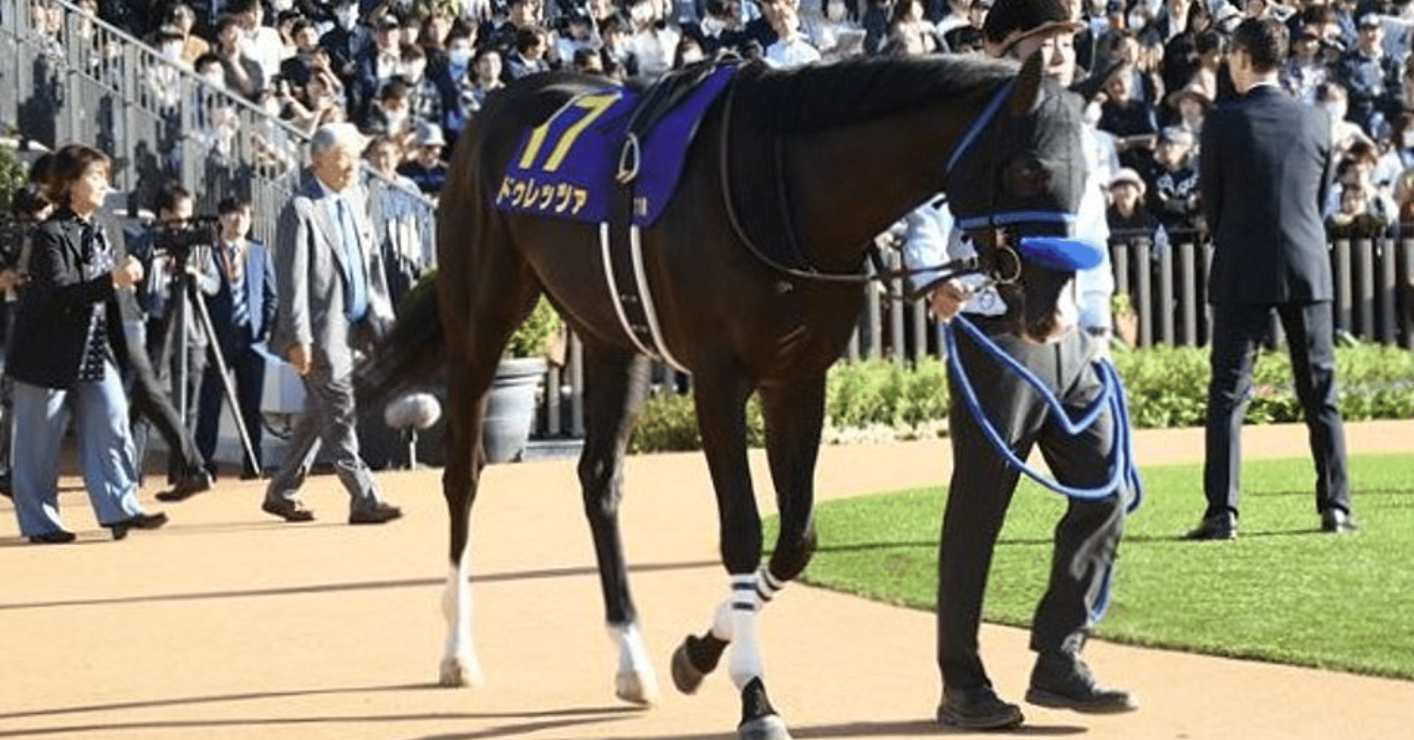 一口馬主】歴代名馬の1歳時の馬体写真と測尺「あの時君は若かった
