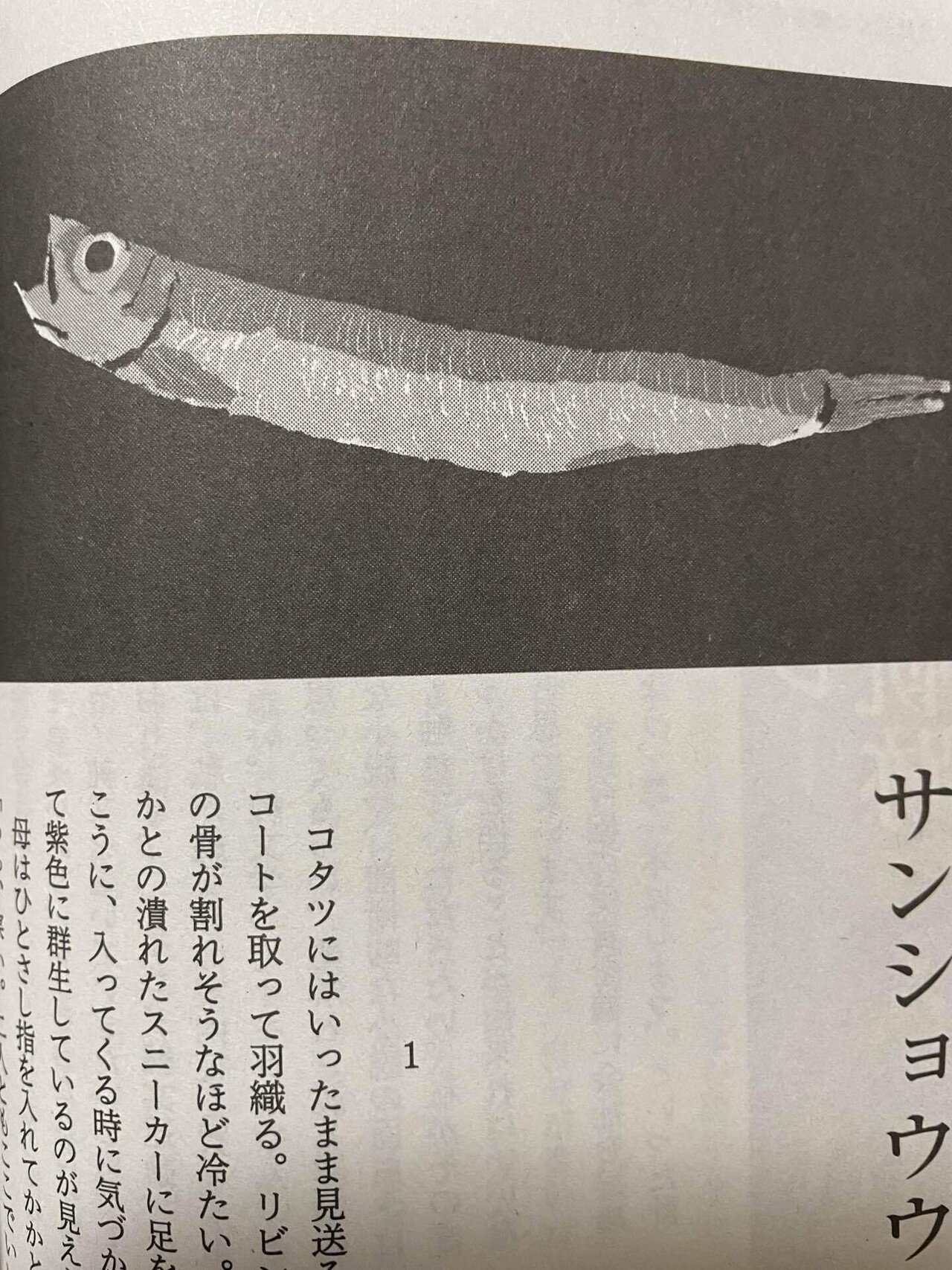 芥川賞受賞作「サンショウウオの四十九日」と「バリ山行」 - 錦