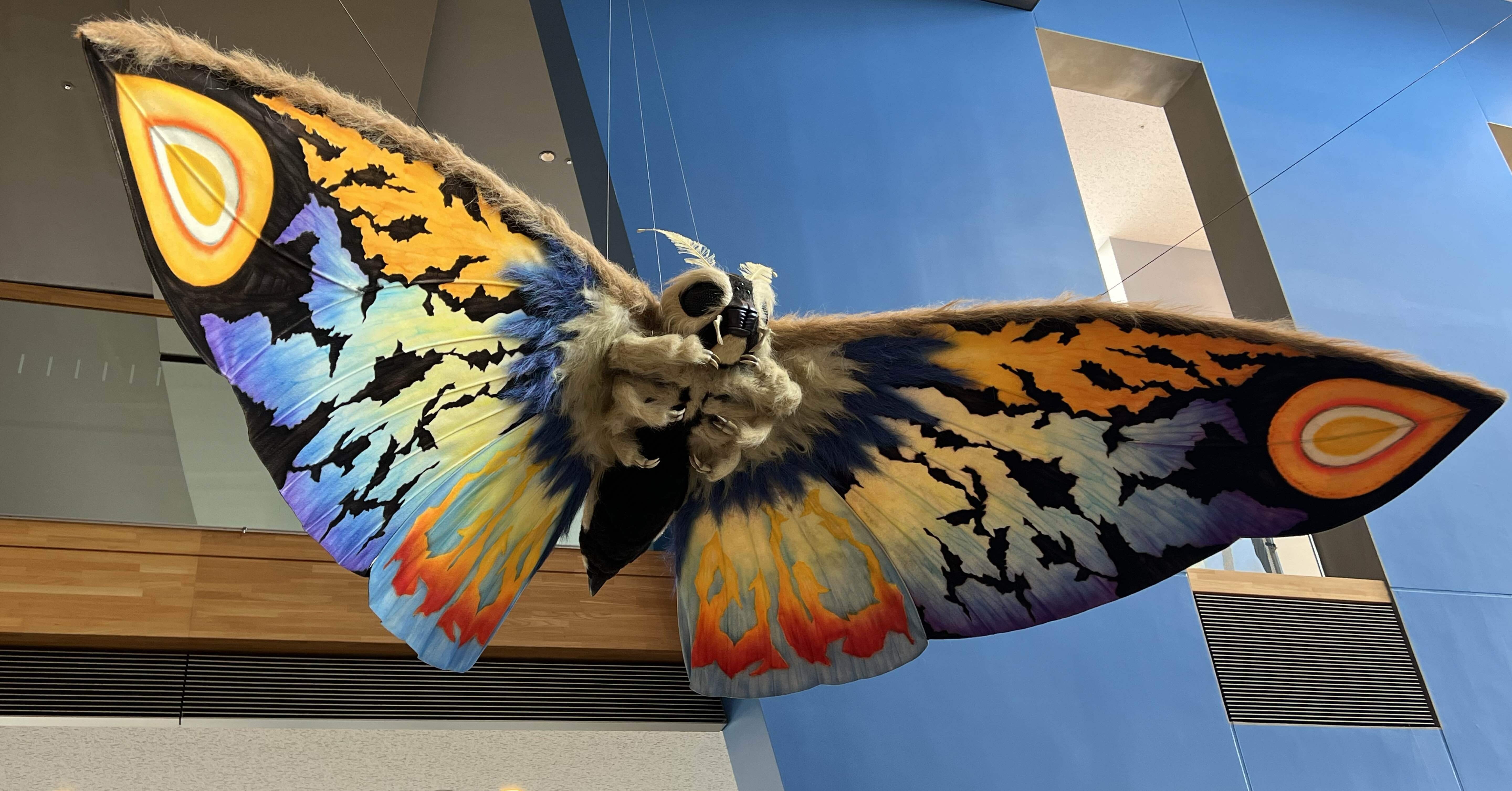 c03252d3a8729c5e90483c85681a8a