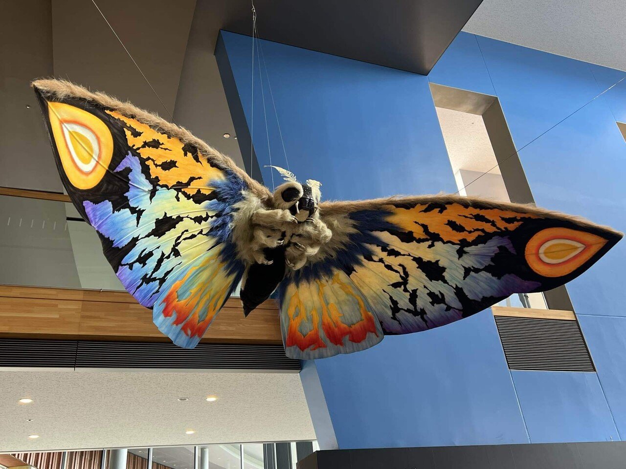 レア ゴジラ メガネ モスラモデル 60周年 ALOOK モスラ 商品情報