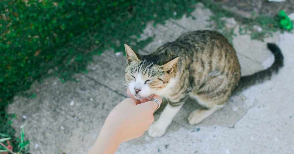 私は初対面の人と会う時は外見に気合いを入れる Sena Note