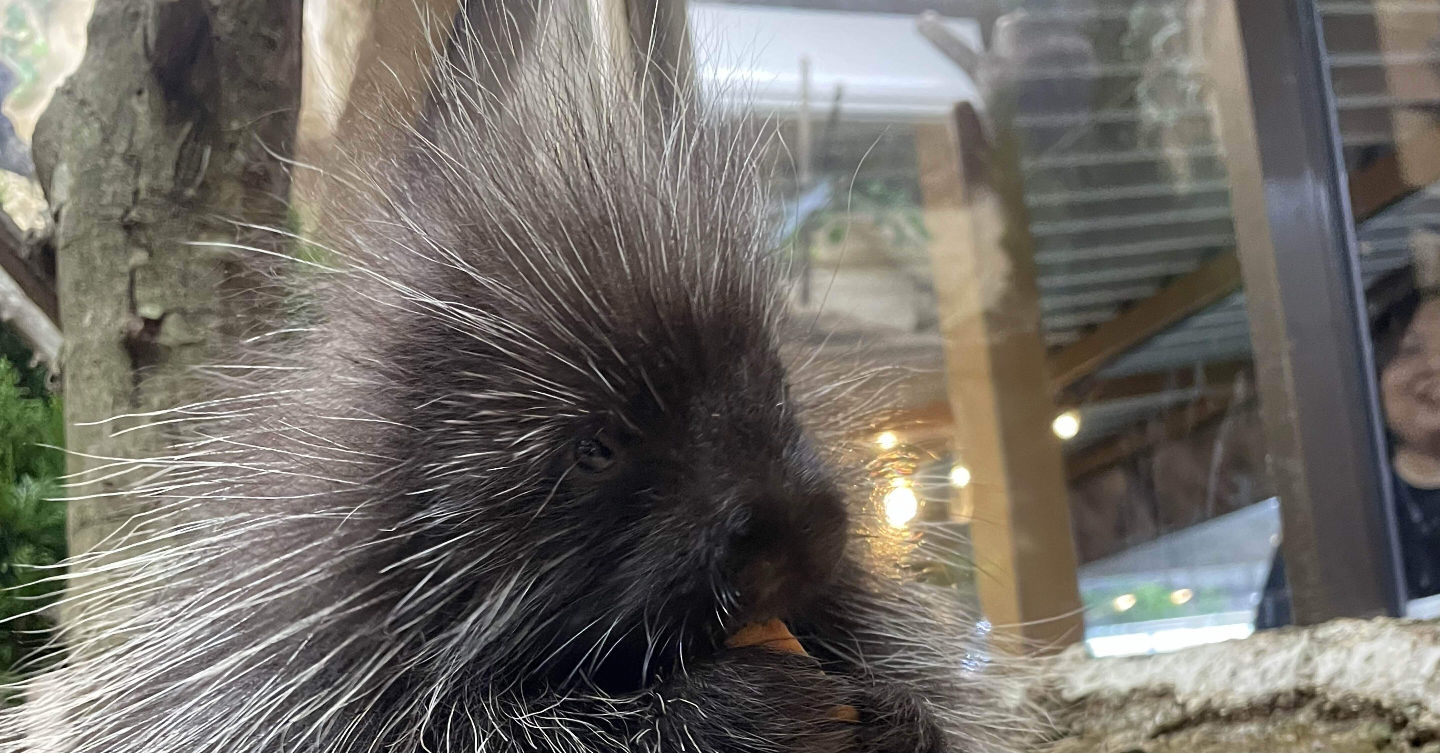 0b085bffecd4b3823a7d21cdfab760