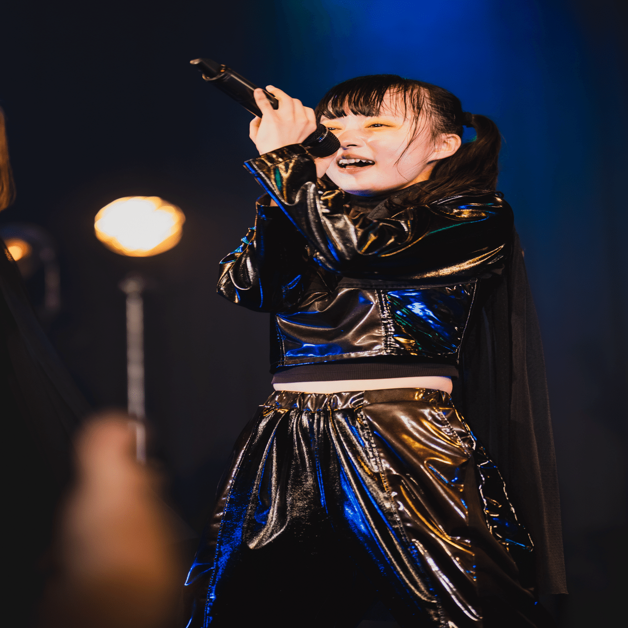 小さくてかわいい狂犬｜灰