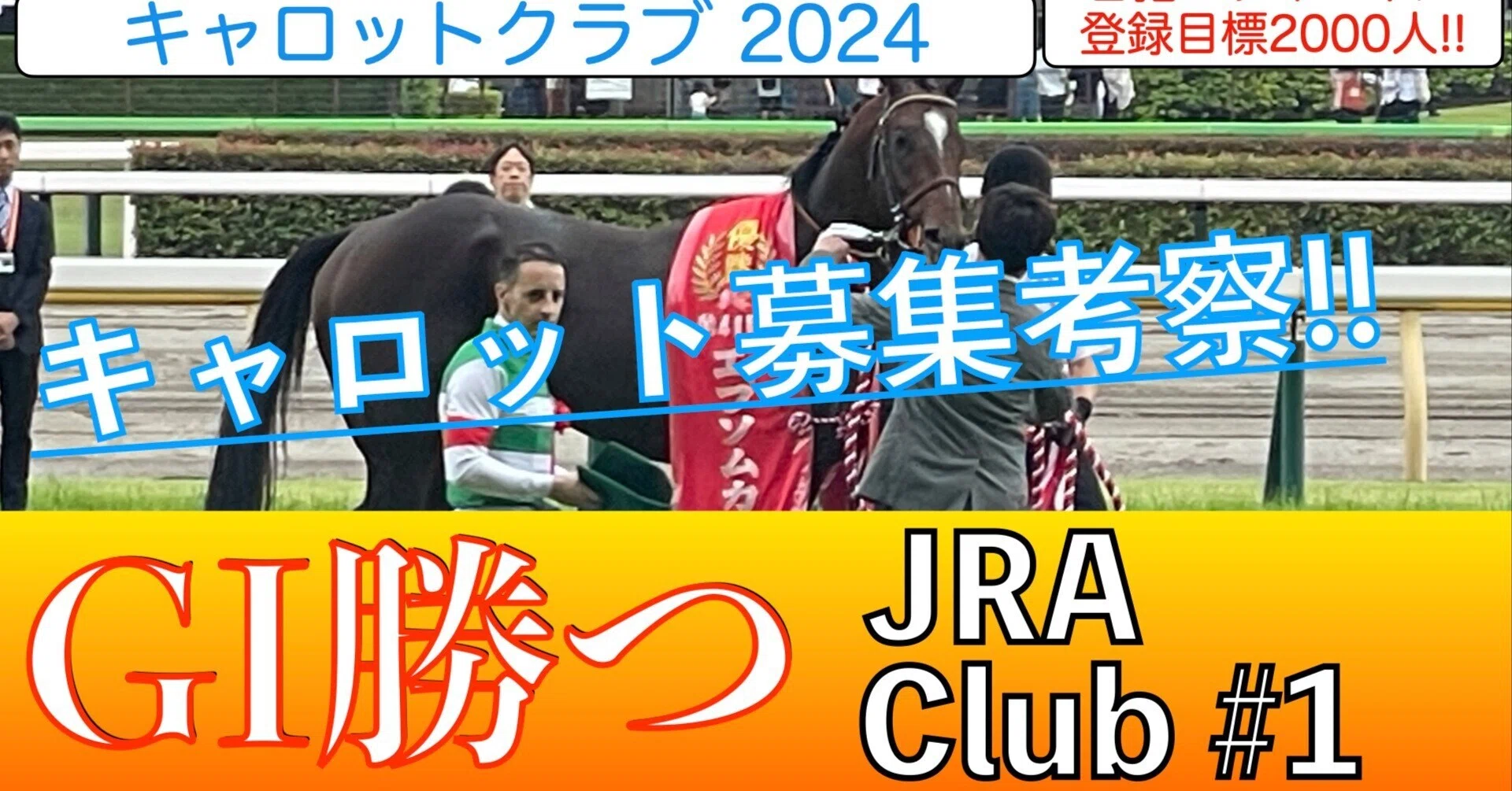 Carrot Club 2024 Recruitment Horses】Carrot Club Recruitment Horse