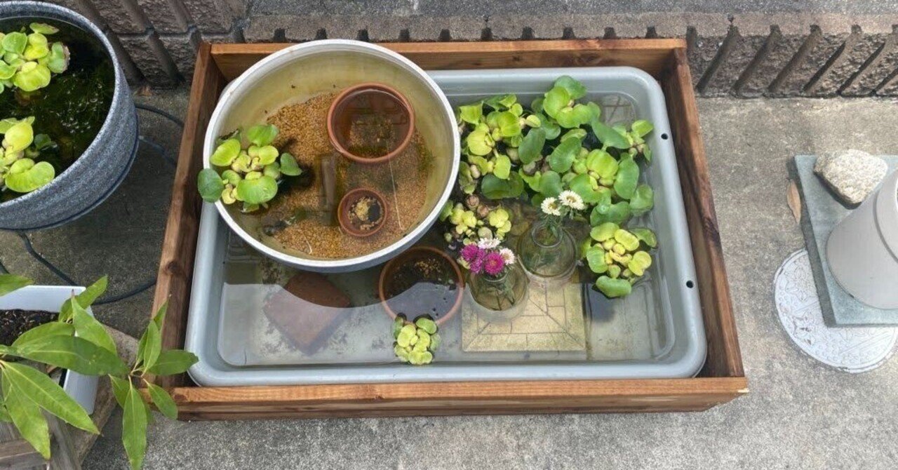 メダカ】メダカの水槽に木枠をつけました。｜Shisui281