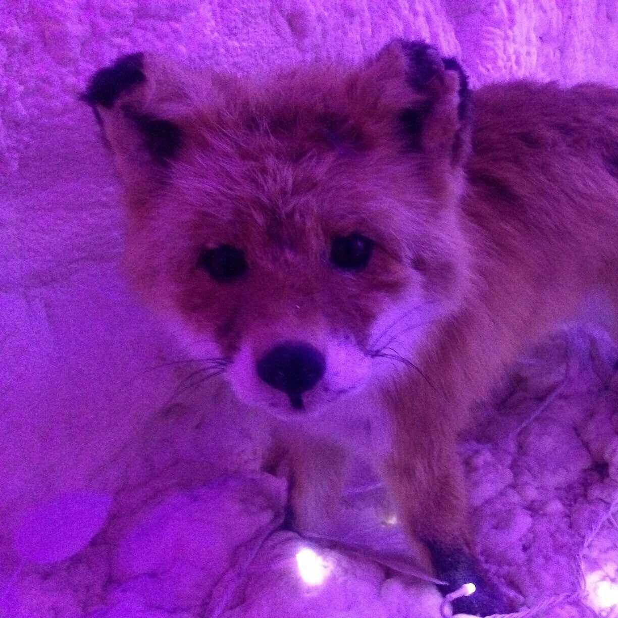 故 沢田泰司の追悼イベントに参加した日について。｜Show