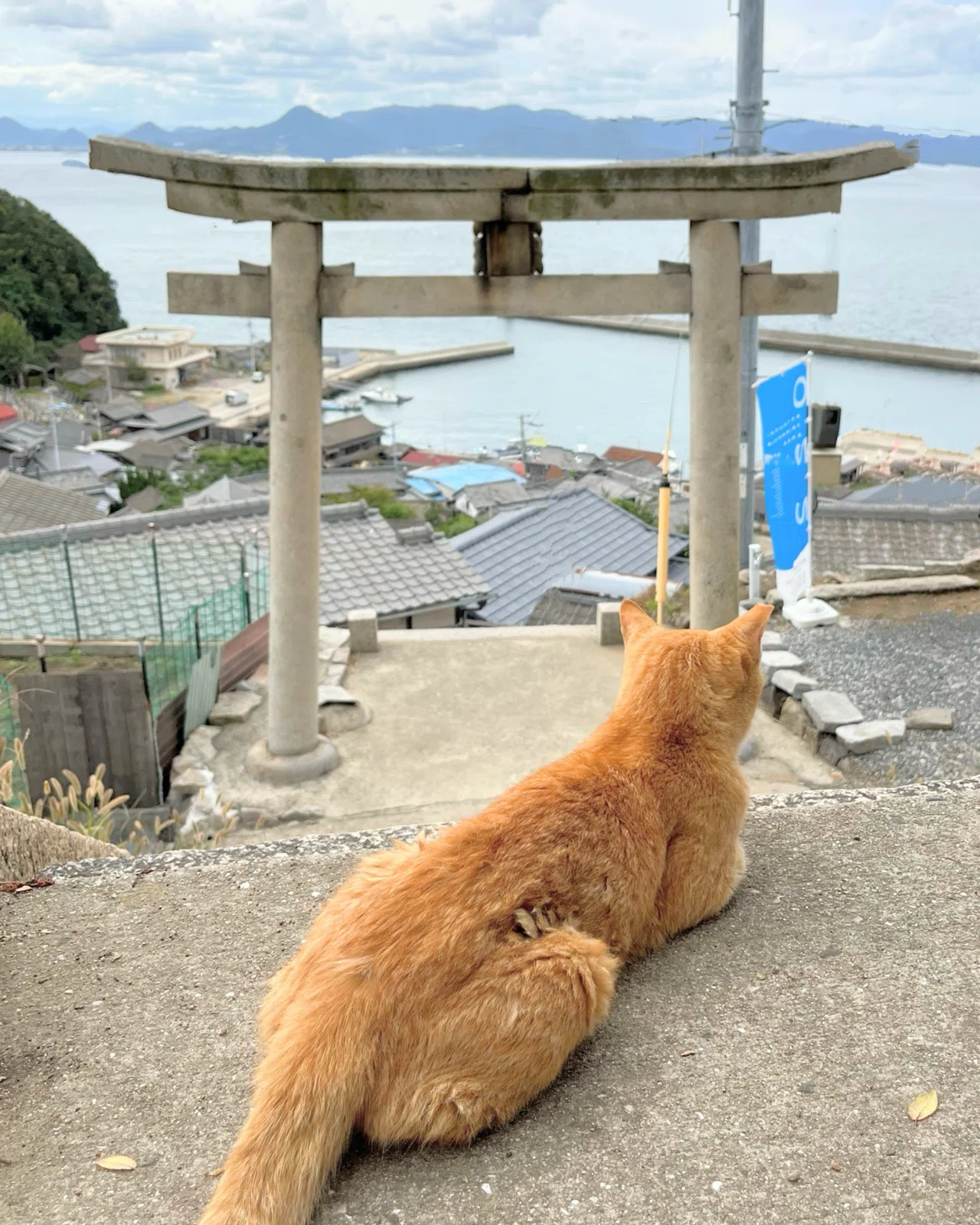 瀬戸芸】男木島の文化に溶け込む現代アートとタコと猫の関係｜なつ
