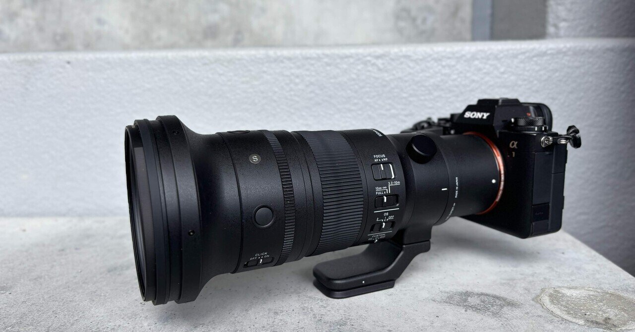 SIGMA シグマ 500mm F5.6 DG DN OS ソニーEマウント SIGMA 500mm F5.6 DG DN OS | Sports | SIGMA Corporation of
