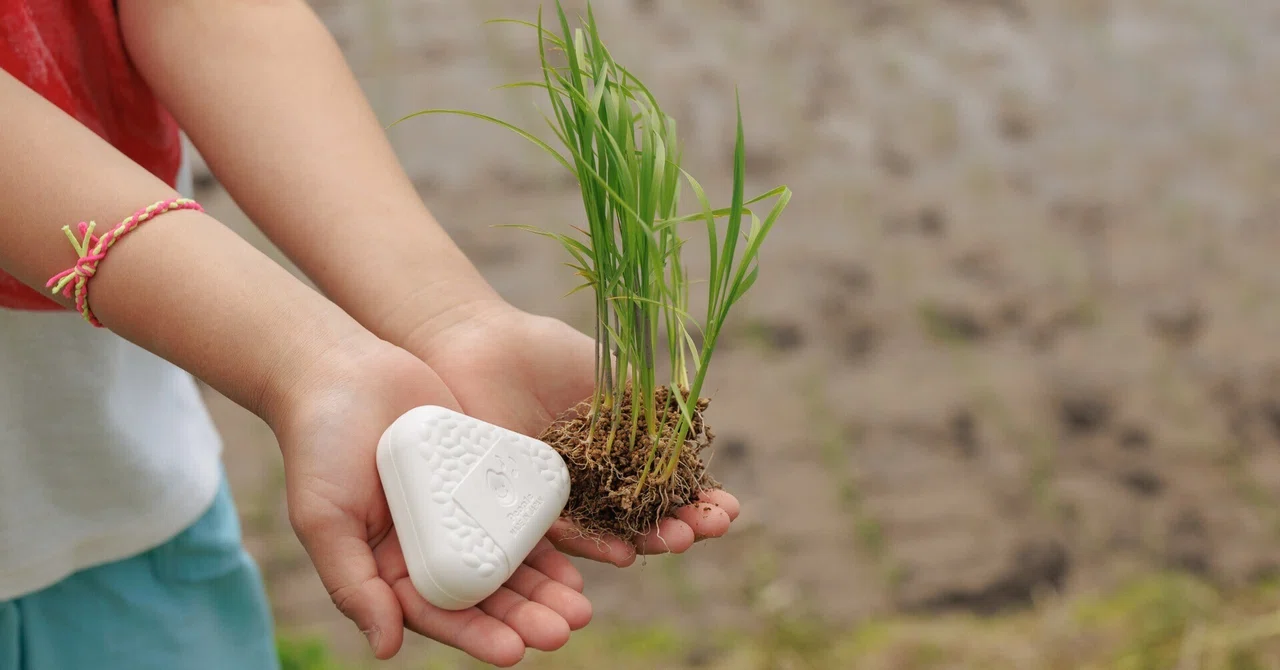 Children Making Toys from Rice Fields?! ~Rice Planting Event with ...