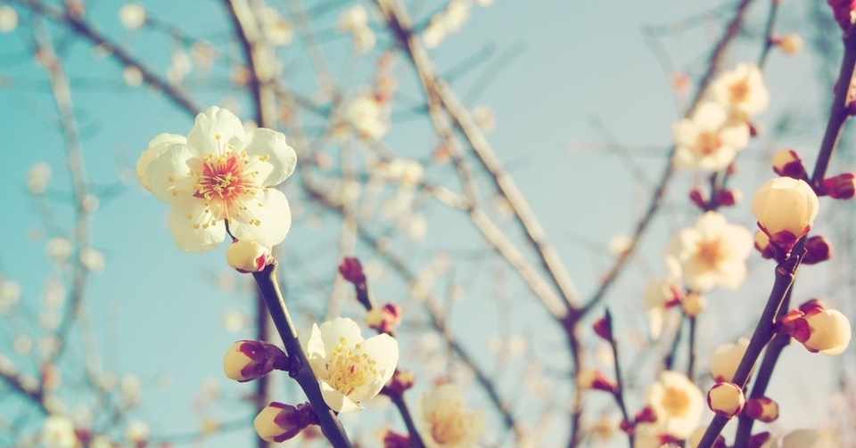ご祝儀貧乏対策 Aco Note
