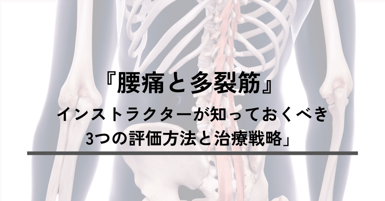 Amazon.co.jp: 骨と骨をつなぐ要点に、効果的アプローチ!【靭帯
