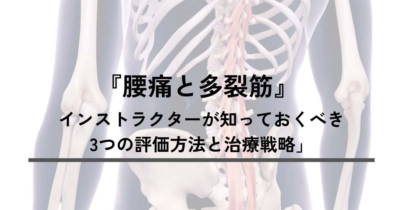 腰痛と多裂筋』インストラクターが知っておくべき3つの評価法と治療