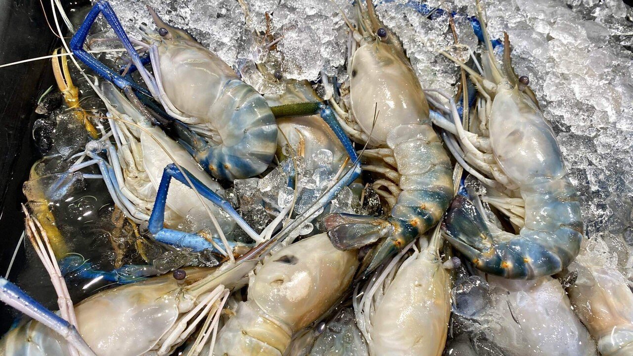 トムヤムクン 🟨 日本人の9割が知らないタイ飯⑧ 〜トムヤムクンの秘密〜 🟨｜ASOKE