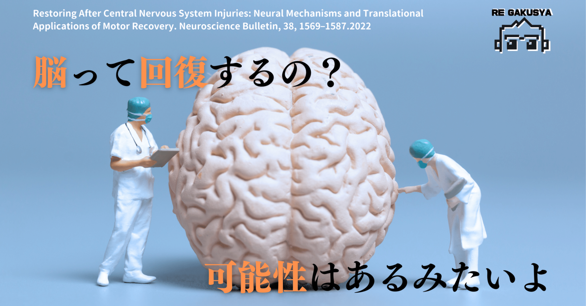 激安通販新作 連合野ハンドブック 完全版: 神経科学×神経心理学で理解する大脳 健康・医学