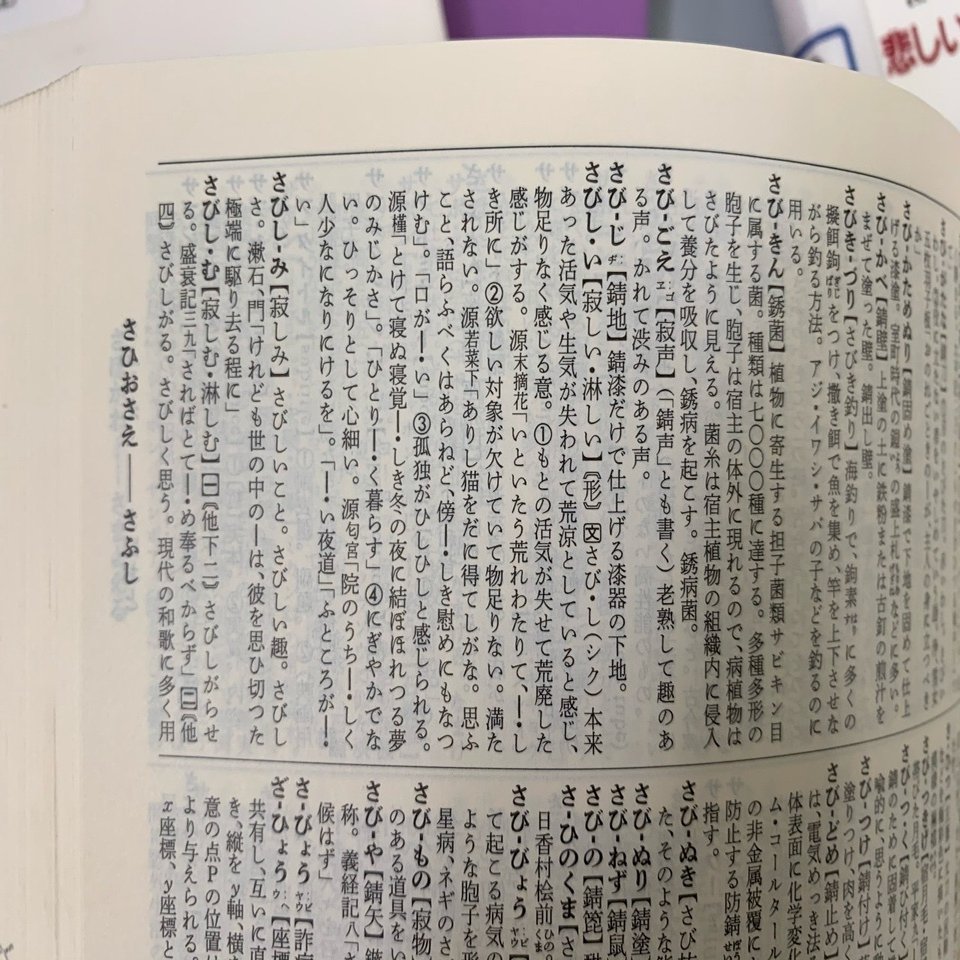 寂しい について何なのか 自分なりに真剣に考えてみた ろっくまん Note