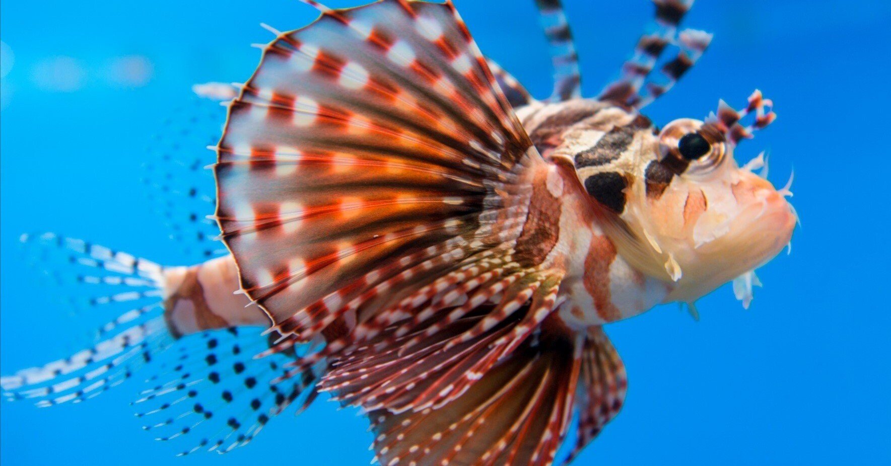 af7f2aa933b2620bd35463f66b9c6d