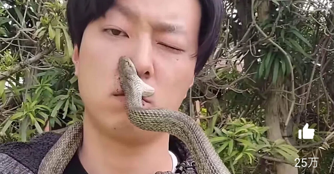 まだまだ知らない日本（人）があるんだなって戦々恐々とした動画『飯島