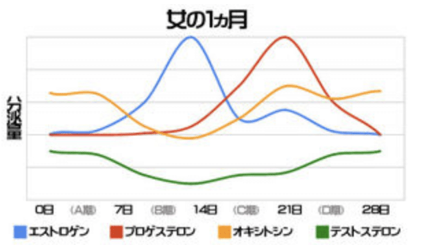 女性が月に4回性格が変わる ドリアちゃん Note 女性が月に4回性格が変わる ドリアちゃん Note