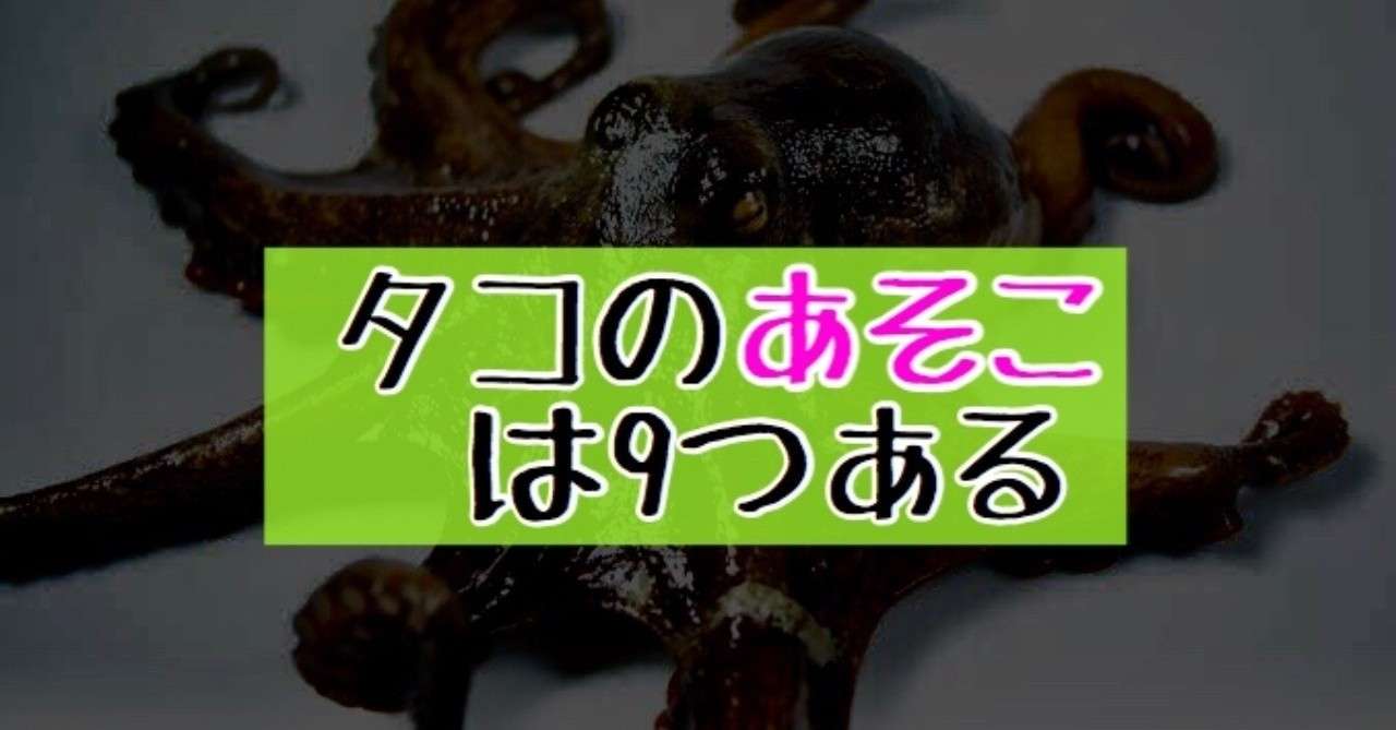 見出し画像
