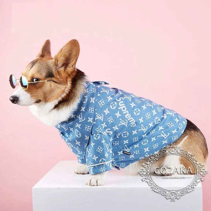 ルイヴィトン 犬洋服×バンダナ入荷！贅沢すぎるLV犬用品！｜コザカ@cozaka