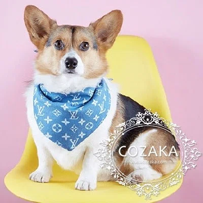 ルイヴィトン 犬洋服×バンダナ入荷！贅沢すぎるLV犬用品！｜コザカ@cozaka