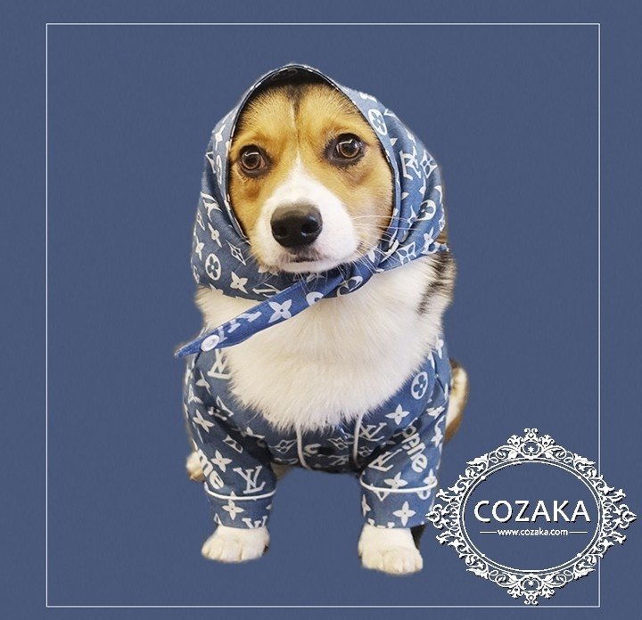 ルイヴィトン 犬洋服×バンダナ入荷！贅沢すぎるLV犬用品！｜コザカ@cozaka