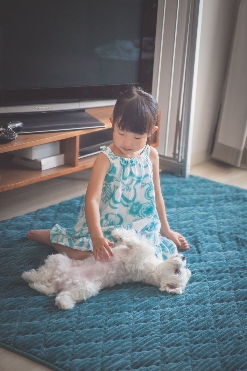 犬と子供と Kemara みき けいこ Note 犬と子供と Kemara みき けいこ Note