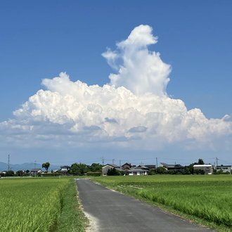 トップに移動