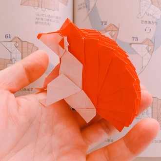 セキセイインコと2週間 暮らした話 Sdob Note