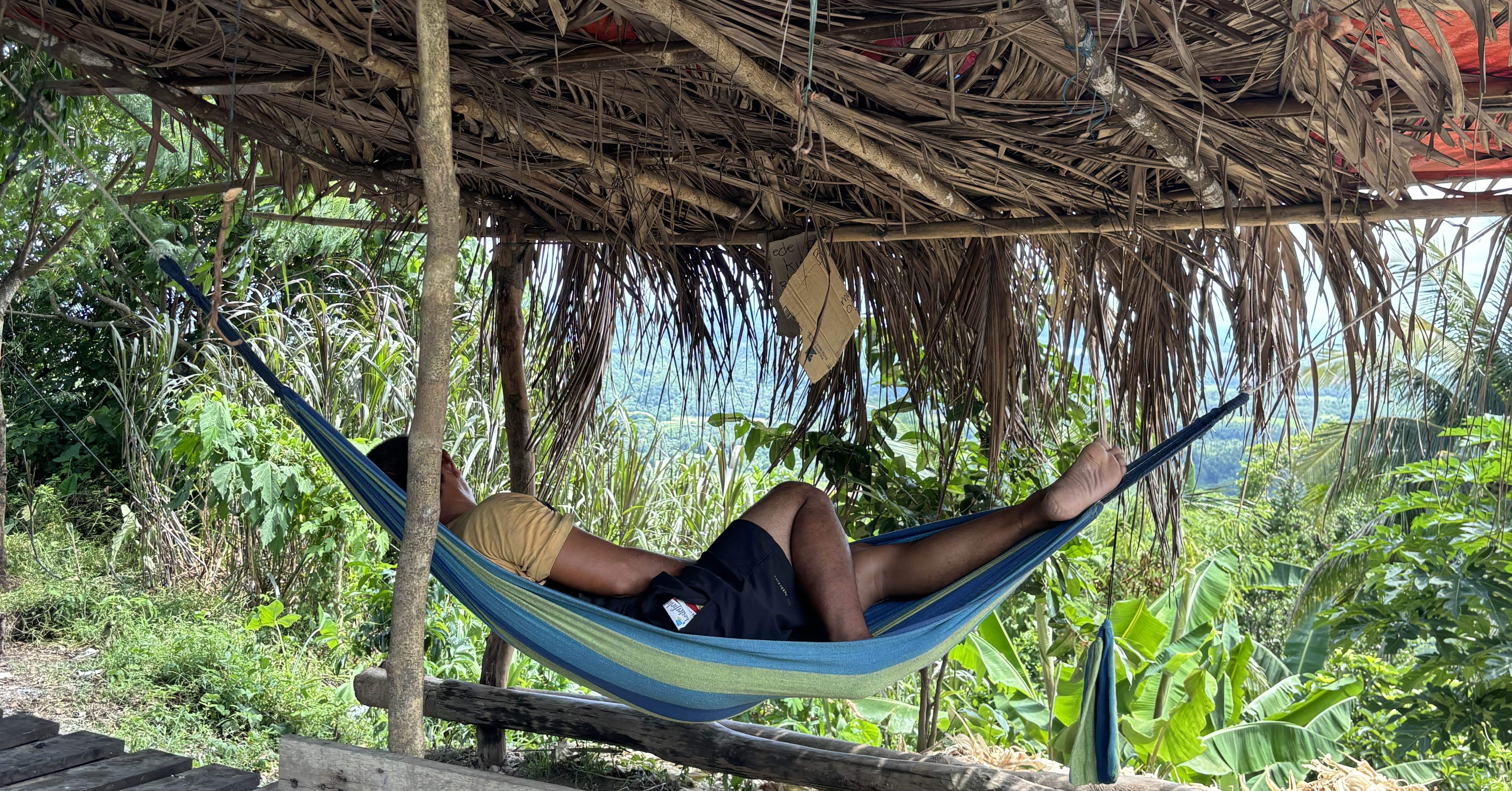 🇵🇭フィリピン・ルソン島🏝️南下するとそこはココナッツジャングル