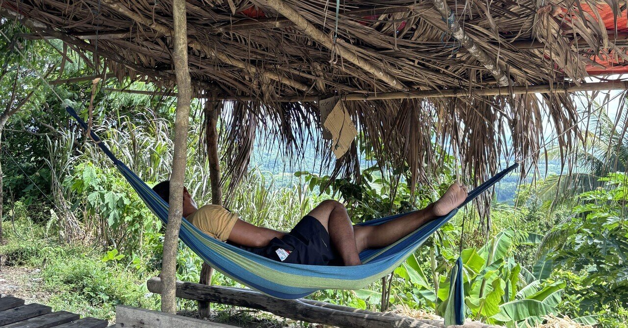 🇵🇭フィリピン・ルソン島🏝️南下するとそこはココナッツジャングル