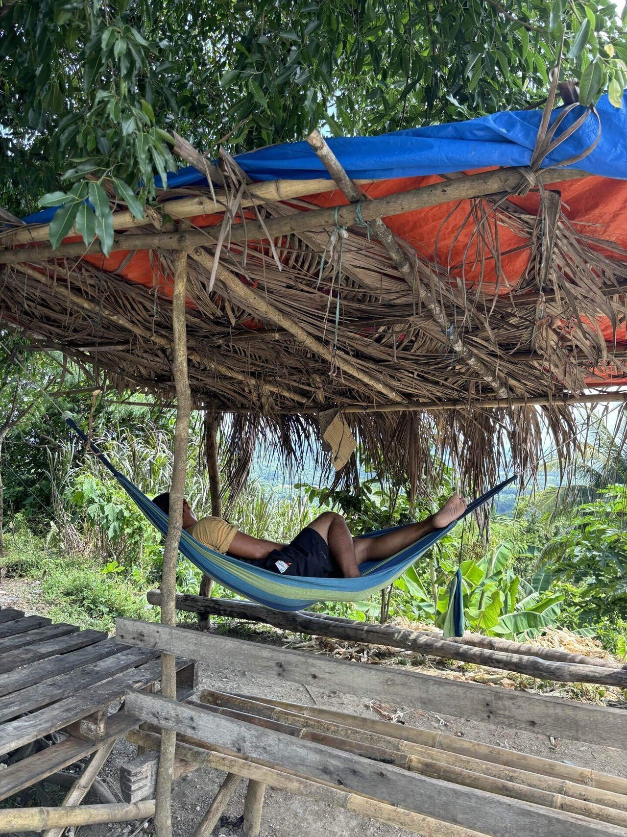 フィリピン ルソン島 古籠 大 フィリピン ルソン島 古籠 大