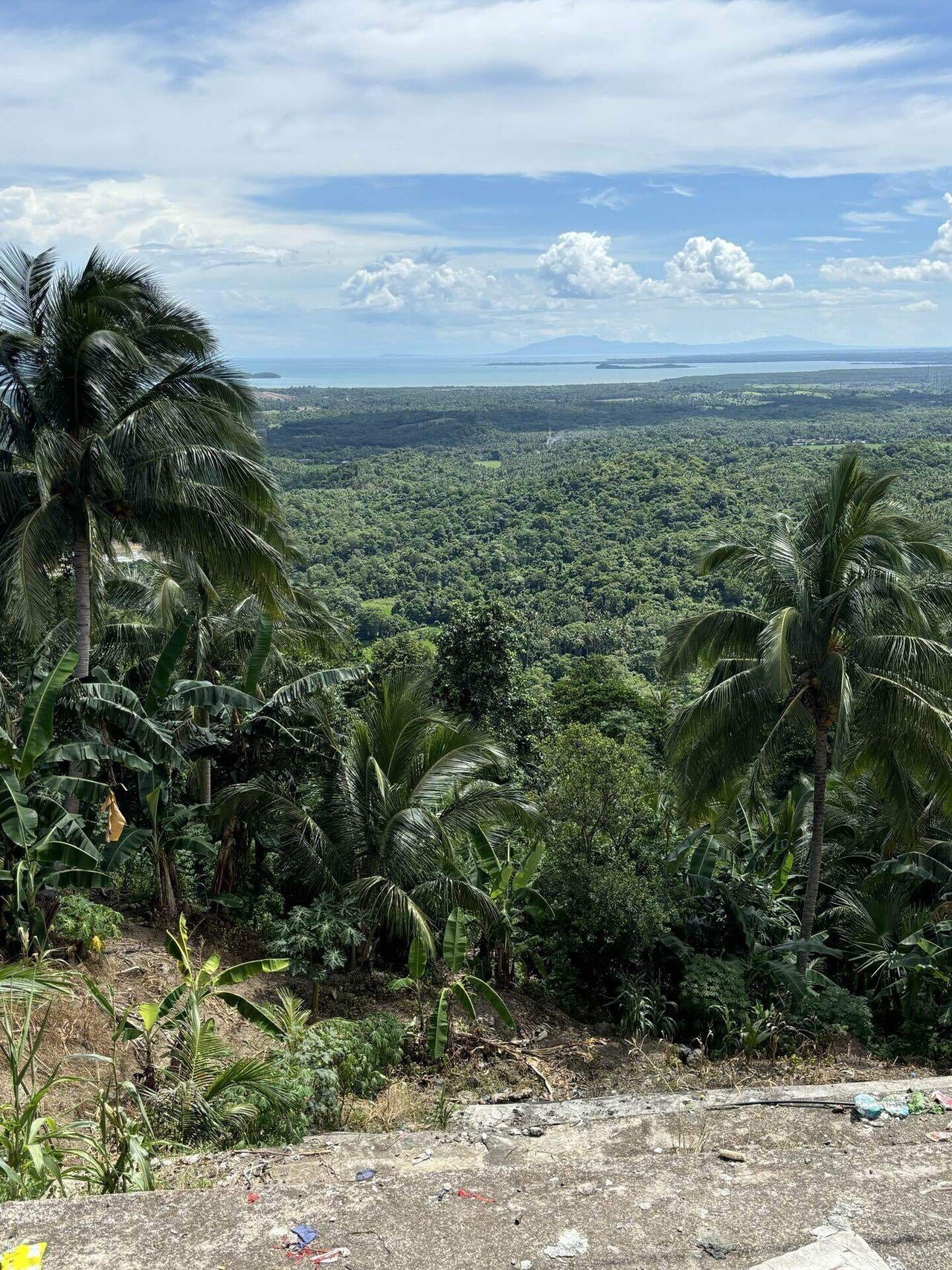 フィリピン ルソン島 大型 古籠 7か月振りのフィリピン訪問 ④ ー ルソン島南部ビコール地方の