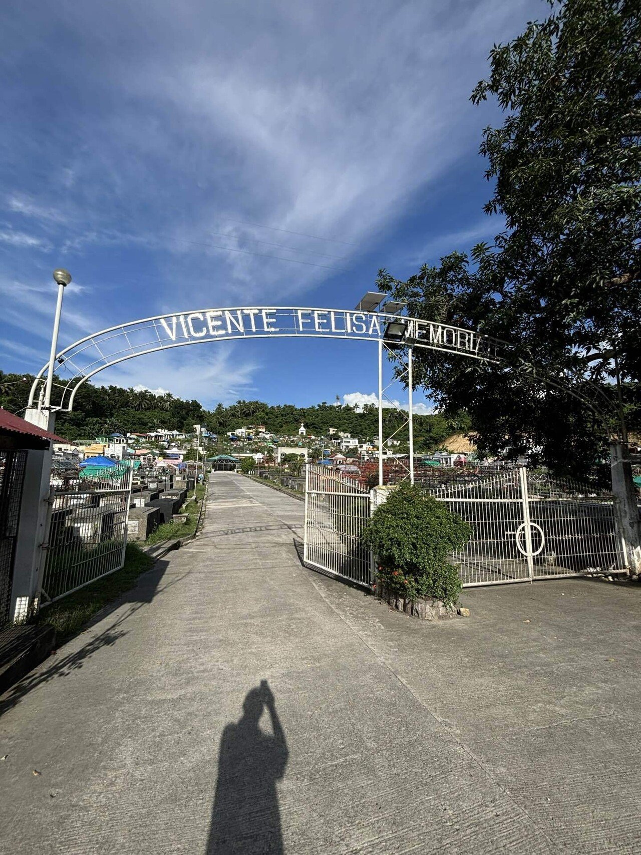 🇵🇭フィリピン・ルソン島🏝️南下するとそこはココナッツジャングル